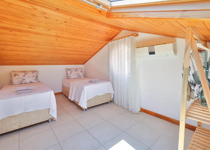 公寓 Apollo 卡斯